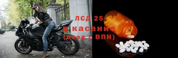 PSILOCYBIN Елабуга