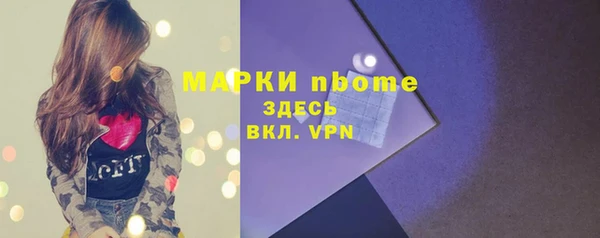 трава Ельня