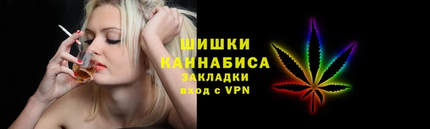 PSILOCYBIN Елабуга