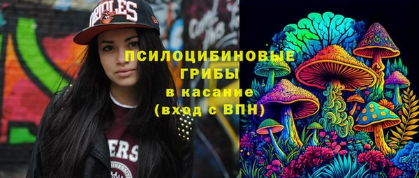 герыч Дмитриев