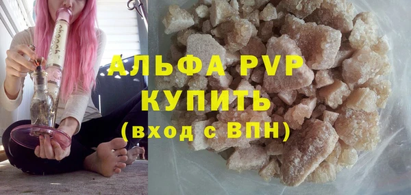 PSILOCYBIN Елабуга