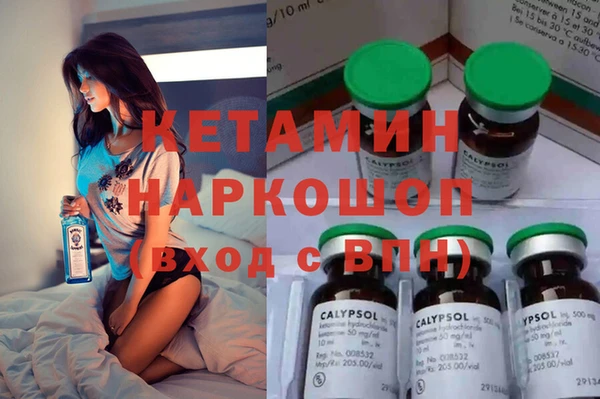 трава Ельня