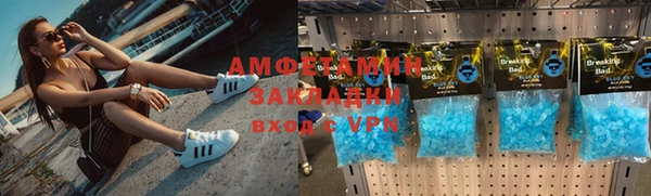 трава Ельня
