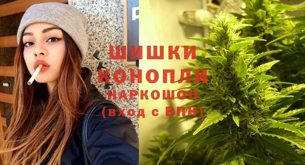 трава Ельня