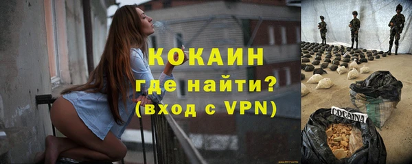 трава Ельня